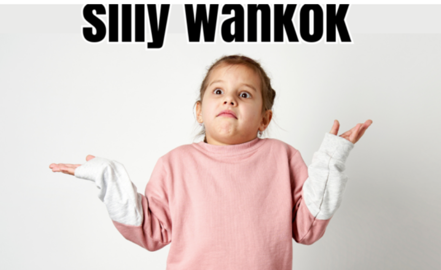 Silly Wankok: The Internet Phenomenon That Brings Laughter To Our Lives